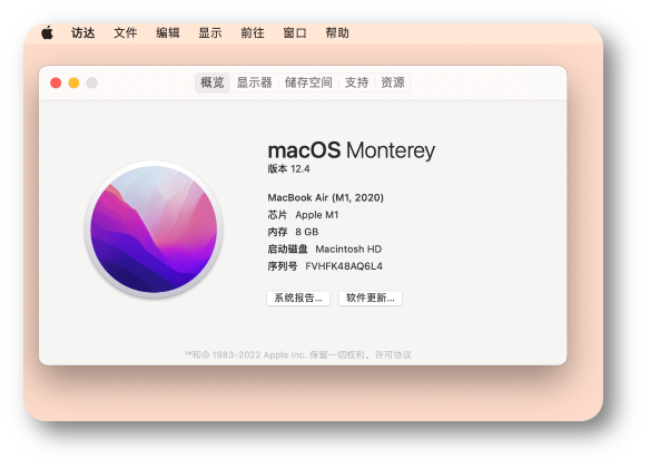 Mac 关于本机中的 macOS 版本与 Apple M1 芯片